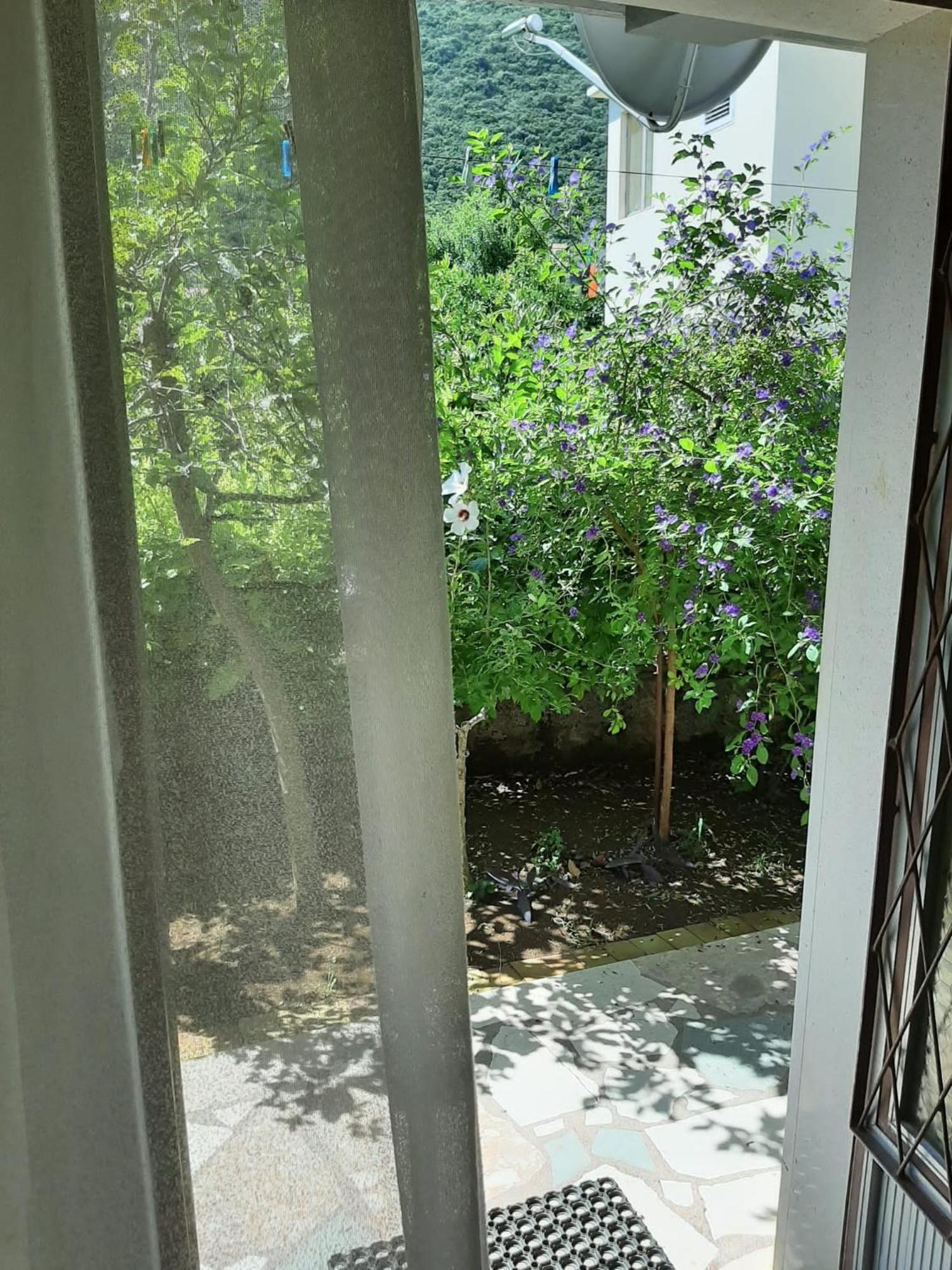 Apartments And Rooms With Parking Space Trpanj, Peljesac - 250 Zimmer foto